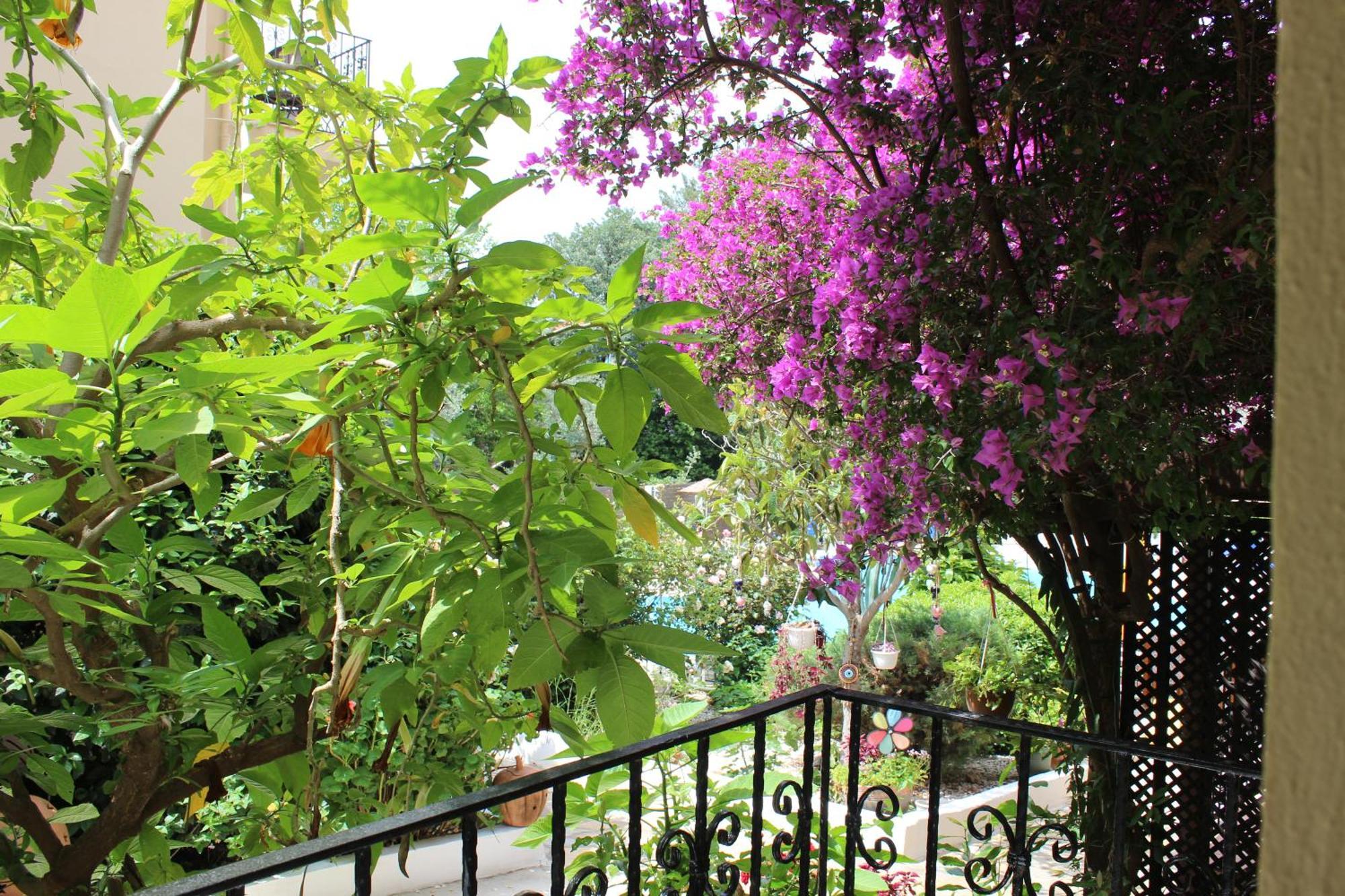 Tunacan Hotel Öludeniz Exteriör bild